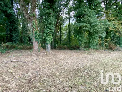 Land in Sainte-Reine-de-Bretagne (44160)