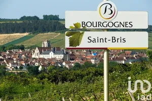 Village house at Saint-Bris-le-Vineux (89530)