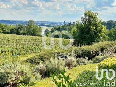 Mansion at Rochecorbon (37210)