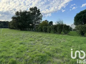 Terrain à Langeais (37130)