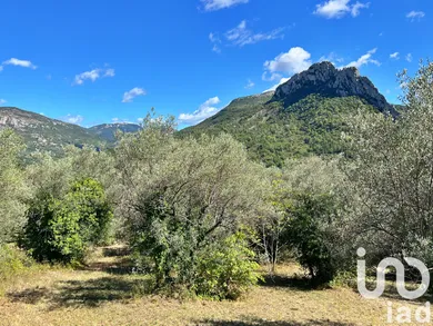 Terrain agricole  à Buis les Baronnies  (26170)