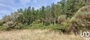 Terrain à Condorcet (26110)