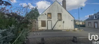 House in Saint-Hilaire-les-Andrésis (45320)