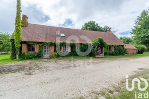 Domaine à Montereau (45260)