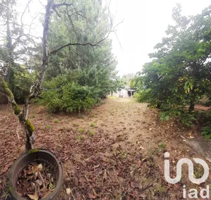 House at Faye-l'Abbesse (79350)