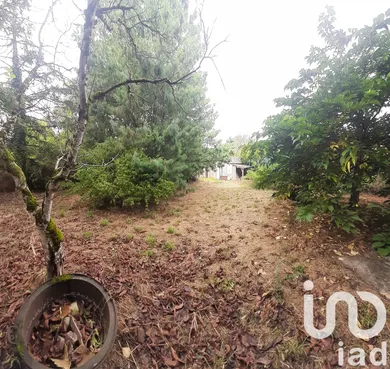 Maison à Faye-l'Abbesse (79350)