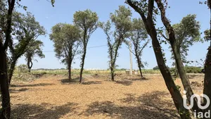 Terrain à bâtir à BEDARRIDES (84370)