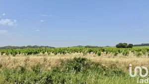 Terrain à bâtir à BEDARRIDES (84370)