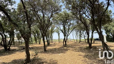 Building plot at BEDARRIDES (84370)