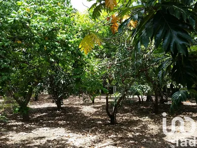 Terrain à bâtir à Saint-Pierre (97432)