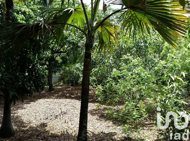 Building plot in Saint-Pierre (97432)