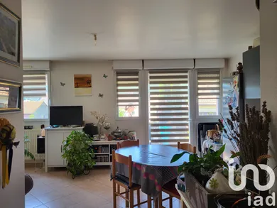 Apartment in Wingen-sur-Moder (67290)