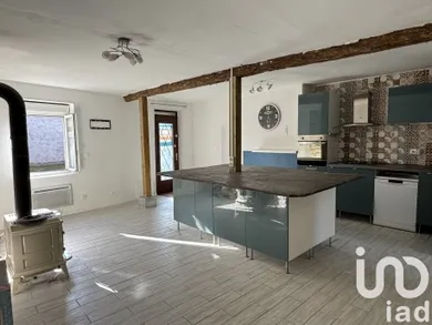 House at Villeneuve-sur-Allier (03460)