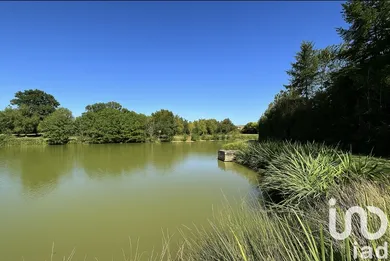 Terrain à La Berthenoux (36400)