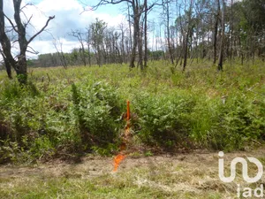 Farm land in Mano (40410)