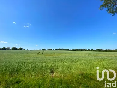 Farm land in SAINT-MARTIN-L'ARS (86350)