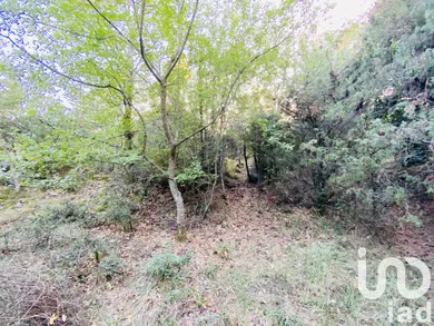 Terrain agricole à Cabris (06530)