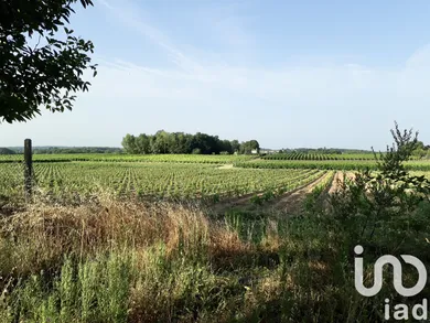 Building plot in Saint-Germain-du-Puch (33750)