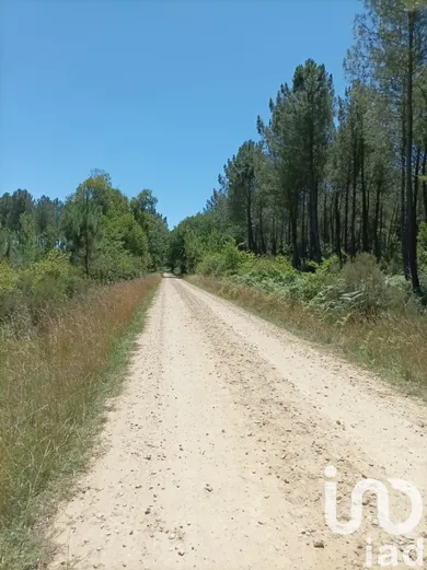 Terrain agricole  à Mano (40410)