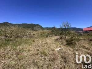 Land at La Plaine-des-Palmistes (97431)