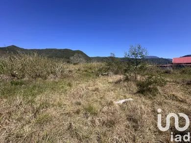 Terrain à La Plaine-des-Palmistes (97431)