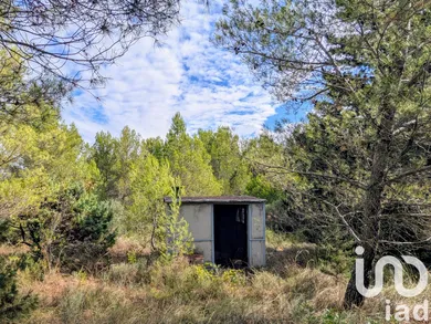 Terrain loisirs à Saint Pargoire (34230)