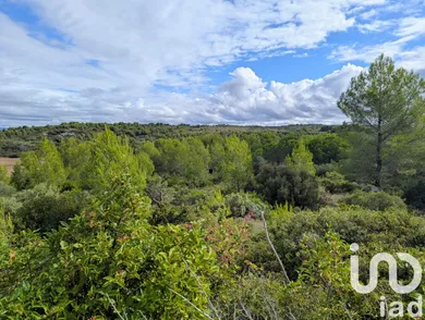 Terrain loisirs à Saint Pargoire (34230)