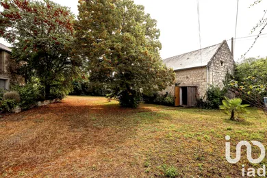 Domain in Chinon (37500)