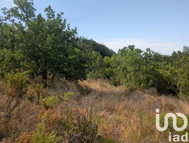 Terrain loisirs à Maureillas-las-Illas (66480)