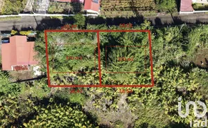 Terrain à Saint-Joseph (97480)