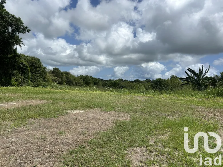 Terrain à Sainte-Anne (97180) · 253 000 €