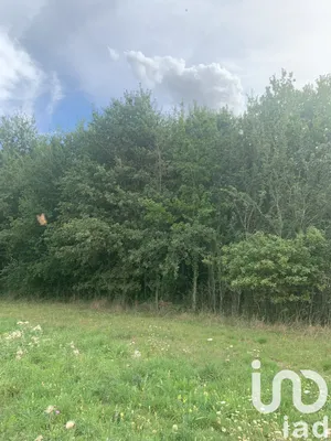Terrain à Baudres (36110)