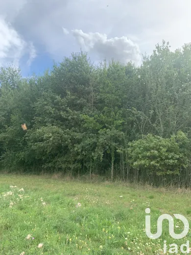 Terrain à Baudres (36110)