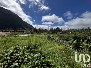 House at LA PLAINE DES PALMISTES REUNION  (97431)