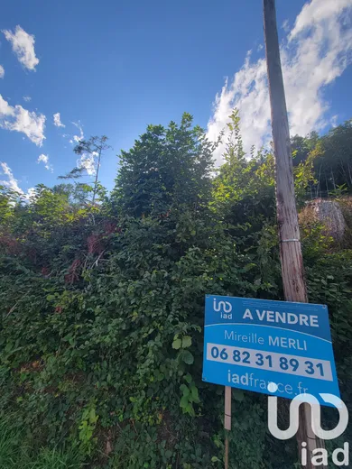 Land in Bourbach-le-Haut (68290)