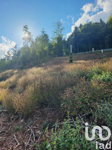Land in Bourbach-le-Haut (68290)