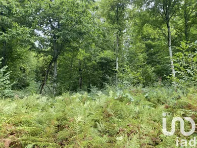 Farm land in BONNEFONT (65220)
