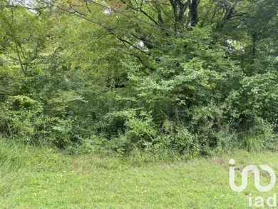 Farm land at BONNEFONT (65220)