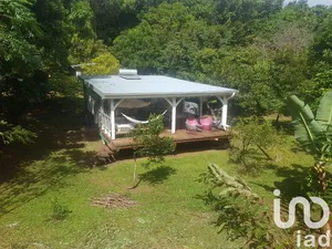 Maison à RIVIERE PILOTE (97211)