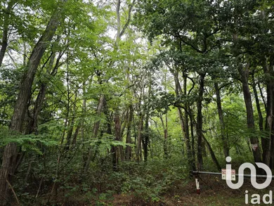 Land at Dampierre en Burly (45570)