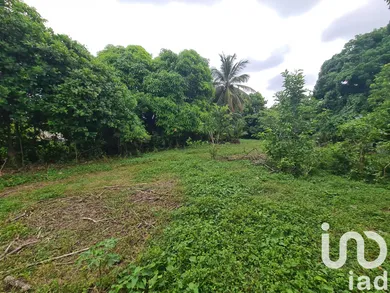 Building plot in le moule (97160)