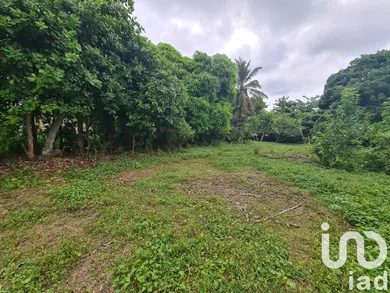 Building plot in le moule (97160)
