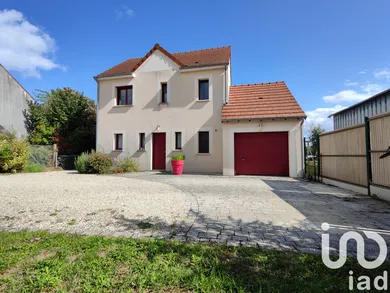 House at Mareau-aux-Prés (45370)
