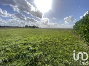 Terrain à Bazoches les gallerandes  (45480)