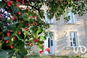 Maison à Angles-sur-l'Anglin (86260)