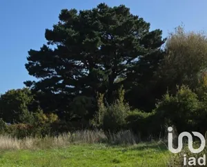 Terrain à bâtir à Pornichet (44380)