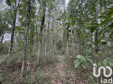 Terrain loisirs à Oudon (44521)