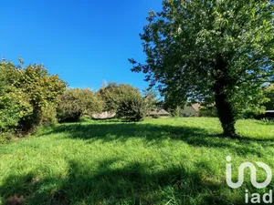 House at Baillou (41170)