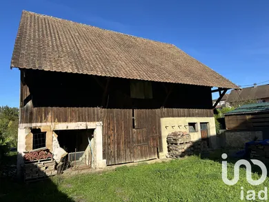 Village house in Seppois-le-Haut (68580)