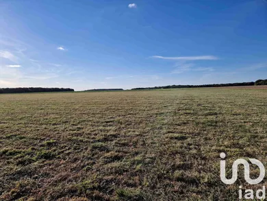 Land in Cloyes-les-Trois-Rivières (28220)